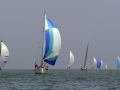 DF3B0961